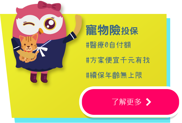 寵物險